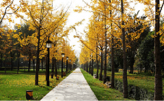 按照市场价钱一套2200元/月的出租尺度来