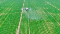 村厅副厅长周连合引见